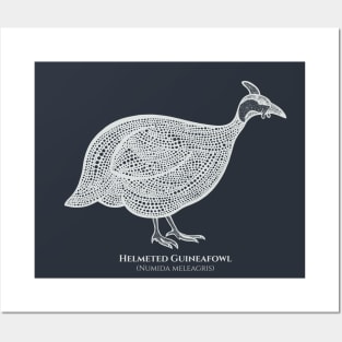 Helmeted Guineafowl with Common and Scientific Names - pretty bird design Posters and Art